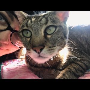 Meet your Posher, Jessie